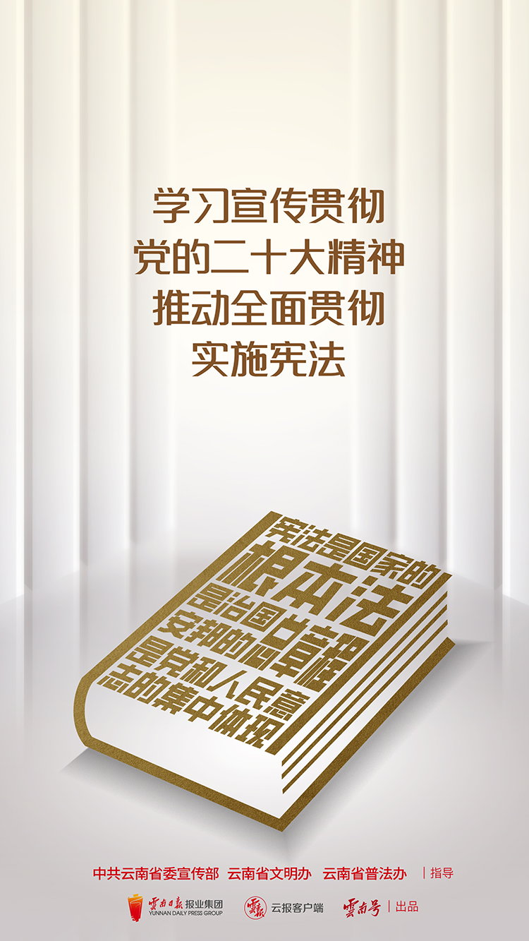 學(xué)習(xí)宣傳貫徹黨的二十大精神 推動全面貫徹實(shí)施憲法 豎版.png